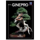 MINIGUIDA - Ginepro EDIZIONE DIGITALE