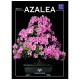 MINIGUIDA - Azalea EDIZIONE DIGITALE