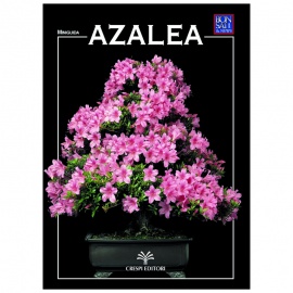 MINIGUIDA - Azalea EDIZIONE DIGITALE