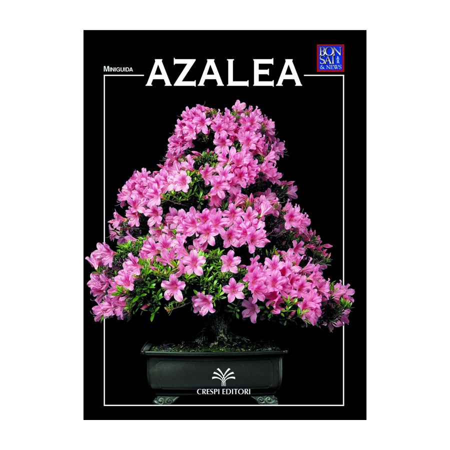 MINIGUIDA - Azalea EDIZIONE DIGITALE