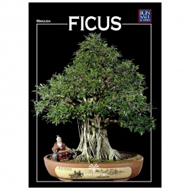 MINIGUIDA - Ficus EDIZIONE DIGITALE