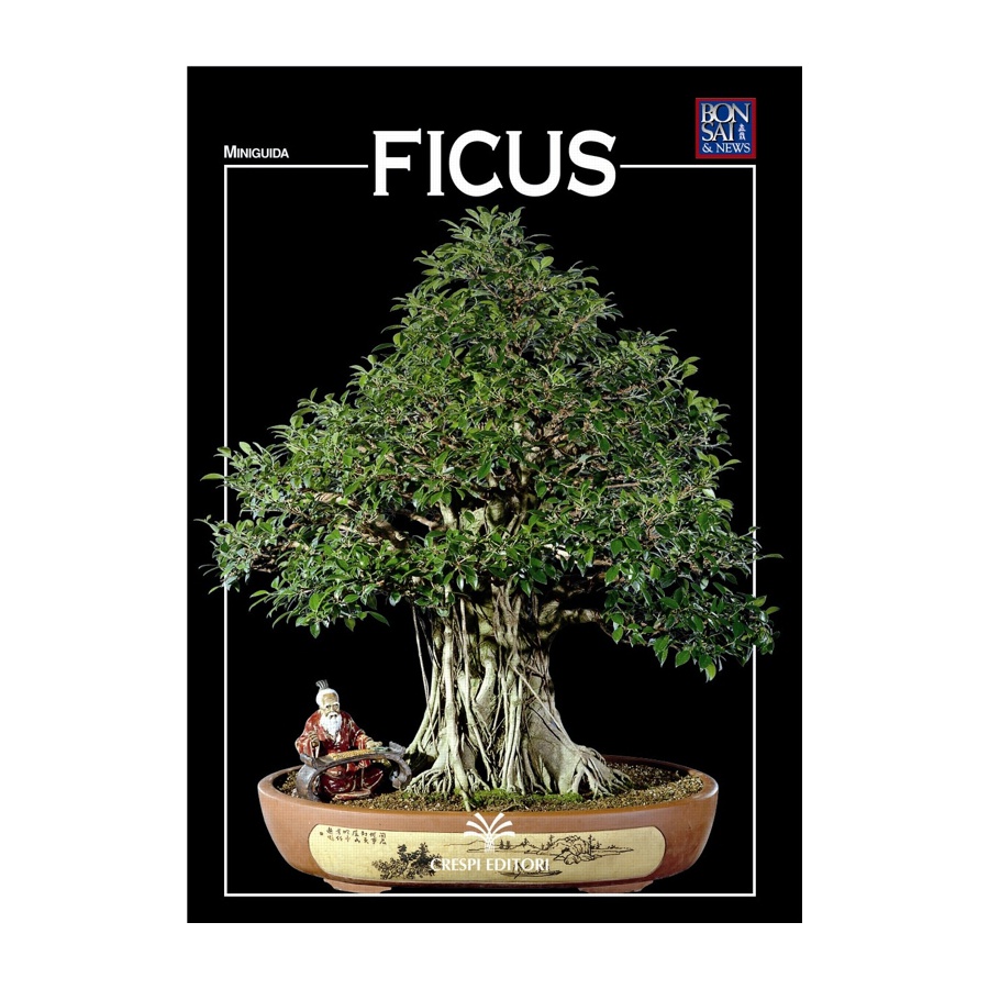 MINIGUIDA - Ficus EDIZIONE DIGITALE
