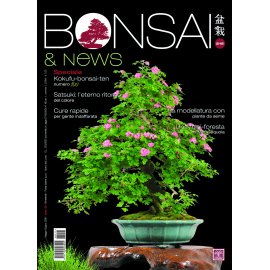 BONSAI & NEWS 215 - MAG-GIU 2026