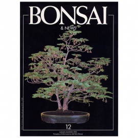 BONSAI & NEWS 12 - LUG-AGO 1992