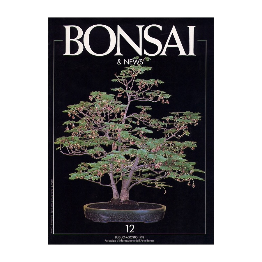 BONSAI & NEWS 12 - LUG-AGO 1992