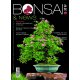 BONSAI & NEWS 215 - MAG-GIU 2026 EDIZIONE DIGITALE