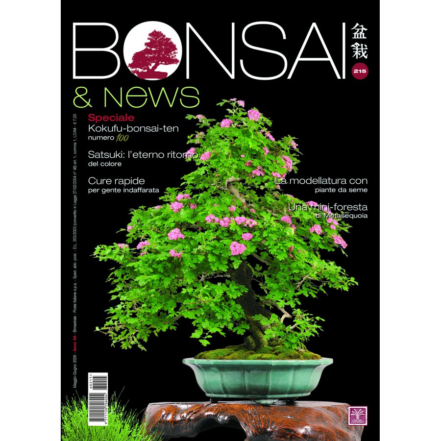 BONSAI & NEWS 215 - MAG-GIU 2026 EDIZIONE DIGITALE