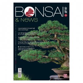 BONSAI & NEWS 171 - GEN-FEB 2019 EDIZIONE DIGITALE