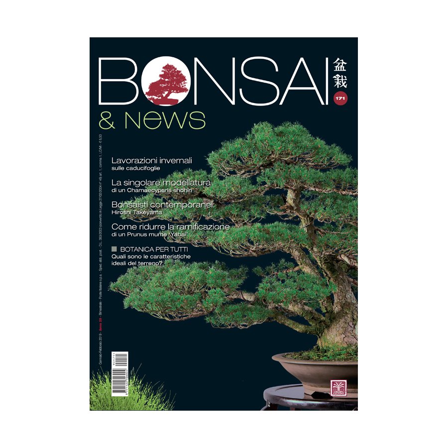 BONSAI & NEWS 171 - GEN-FEB 2019 EDIZIONE DIGITALE