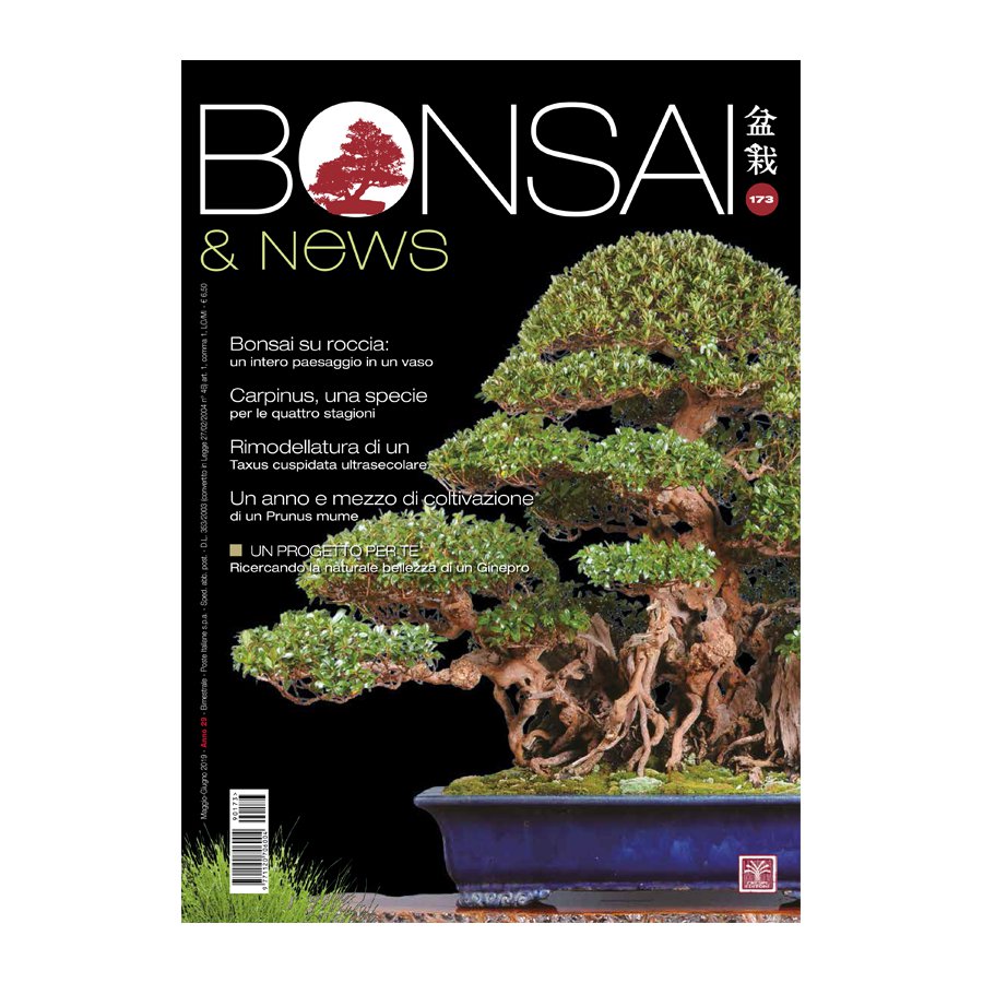 BONSAI & NEWS 173 -  MAG-GIU 2019