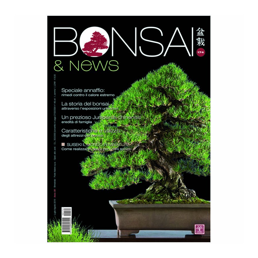 BONSAI & NEWS 174 -  LUG-AGO 2019
