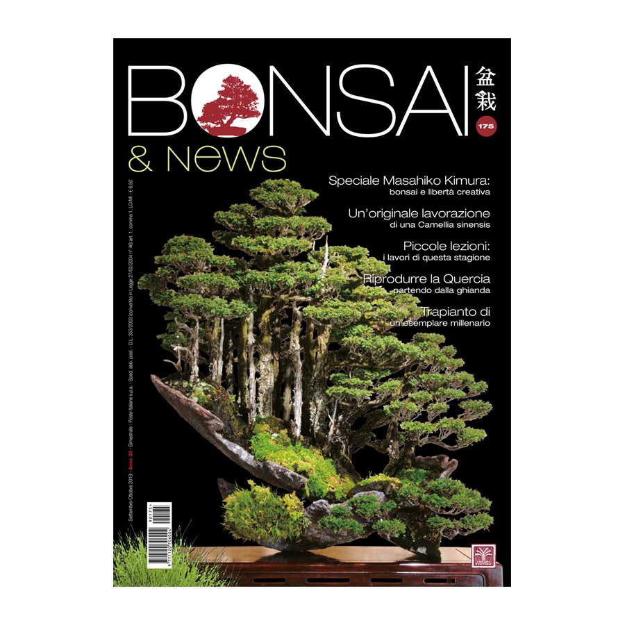 BONSAI & NEWS 175 -  SETT-OTT 2019