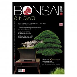 BONSAI & NEWS 176 -  NOV-DIC 2019