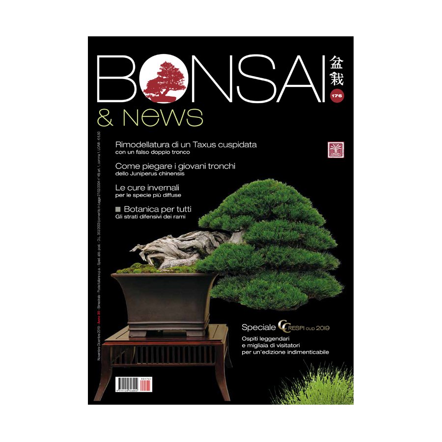 BONSAI & NEWS 176 -  NOV-DIC 2019