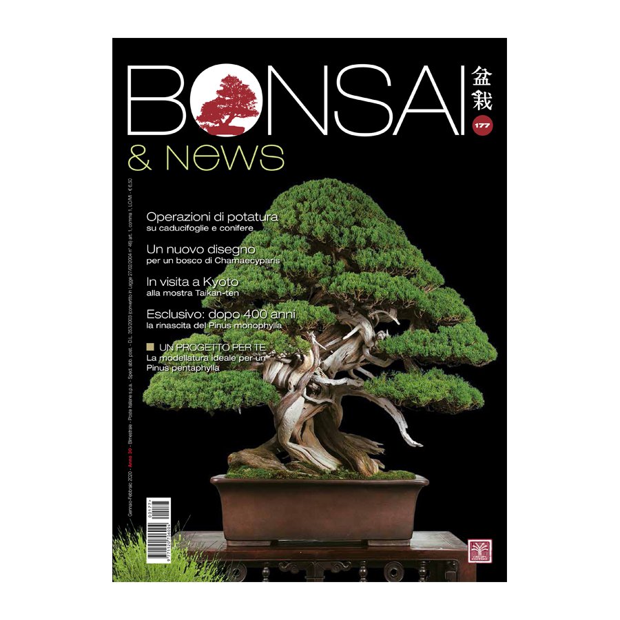 BONSAI & NEWS 177 -  GEN-FEB 2020