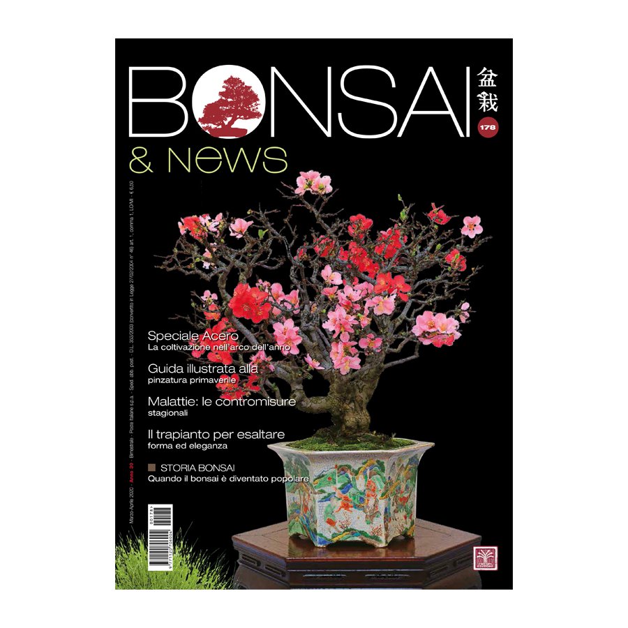 BONSAI & NEWS 177 -  GEN-FEB 2020