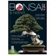 BONSAI & NEWS 180 -  LUG-AGO 2020