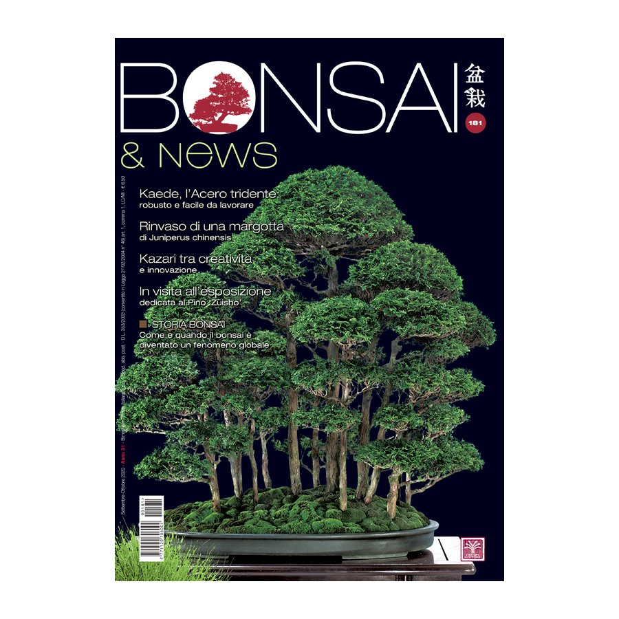 BONSAI & NEWS 181 -  SETT-OTT 2020