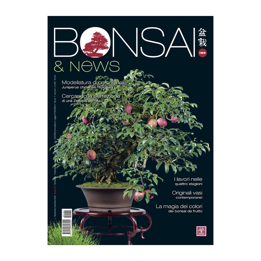 BONSAI & NEWS 182 -  NOV-DIC 2020