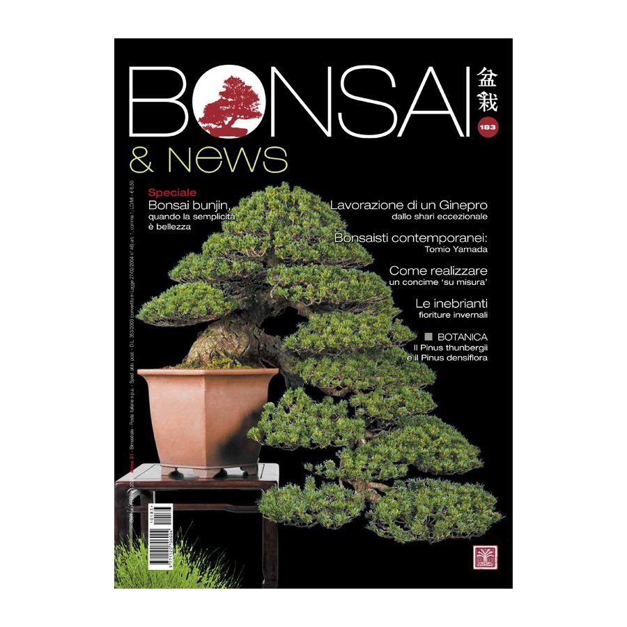 BONSAI & NEWS 183 -  GENN-FEBB 2021