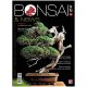 BONSAI & NEWS 185 -  MAG-GIU 2021