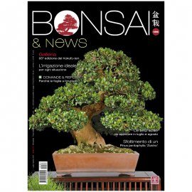 BONSAI & NEWS 186 -  LUG-AGO 2021