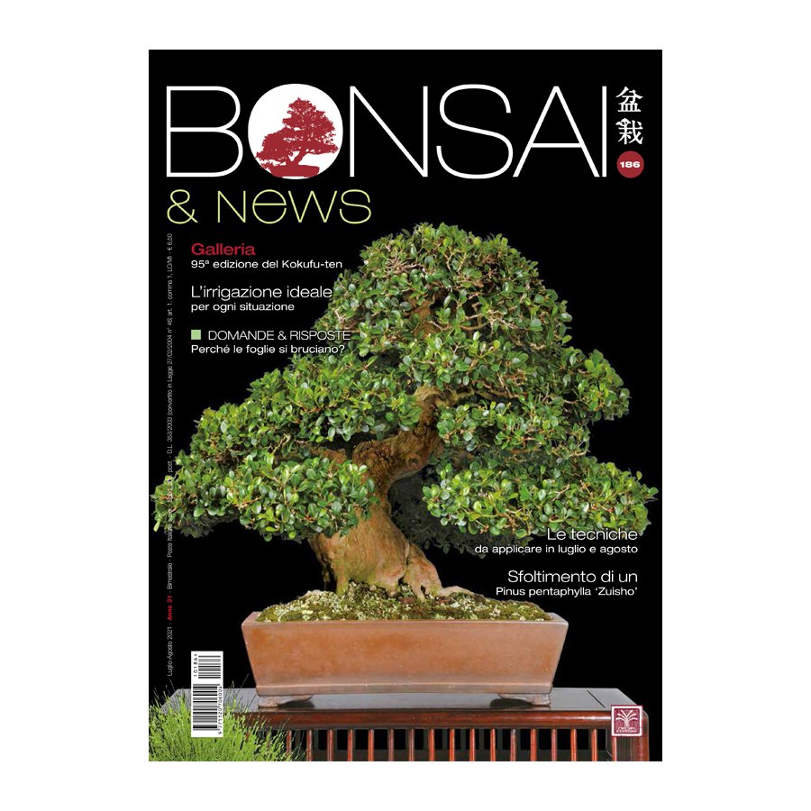 BONSAI & NEWS 186 -  LUG-AGO 2021