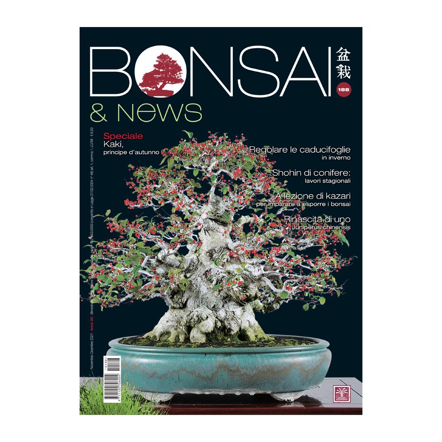 BONSAI & NEWS 188 -  NOV-DIC 2021