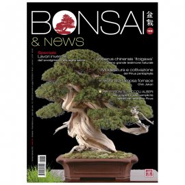 BONSAI & NEWS 188 -  NOV-DIC 2021