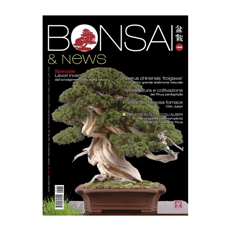 BONSAI & NEWS 188 -  NOV-DIC 2021
