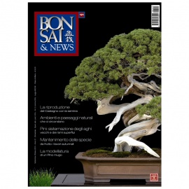BONSAI & NEWS 121 - SET-OTT 2010