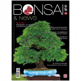 BONSAI & NEWS 190 -  MAR-APR 2022