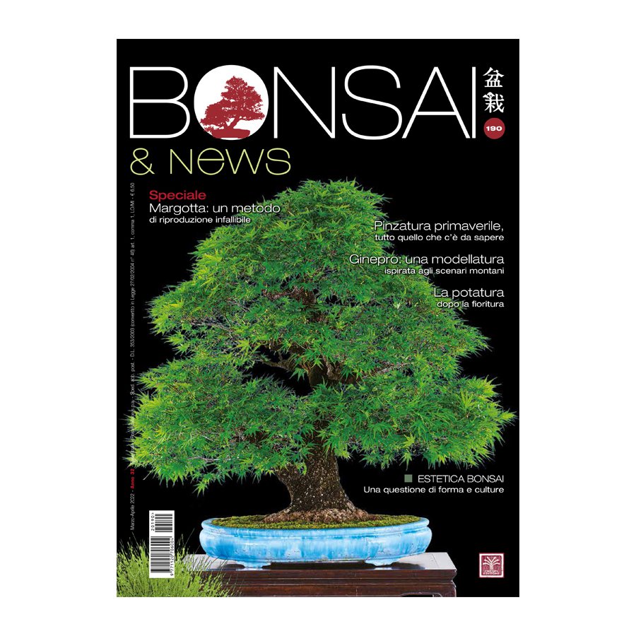 BONSAI & NEWS 190 -  MAR-APR 2022