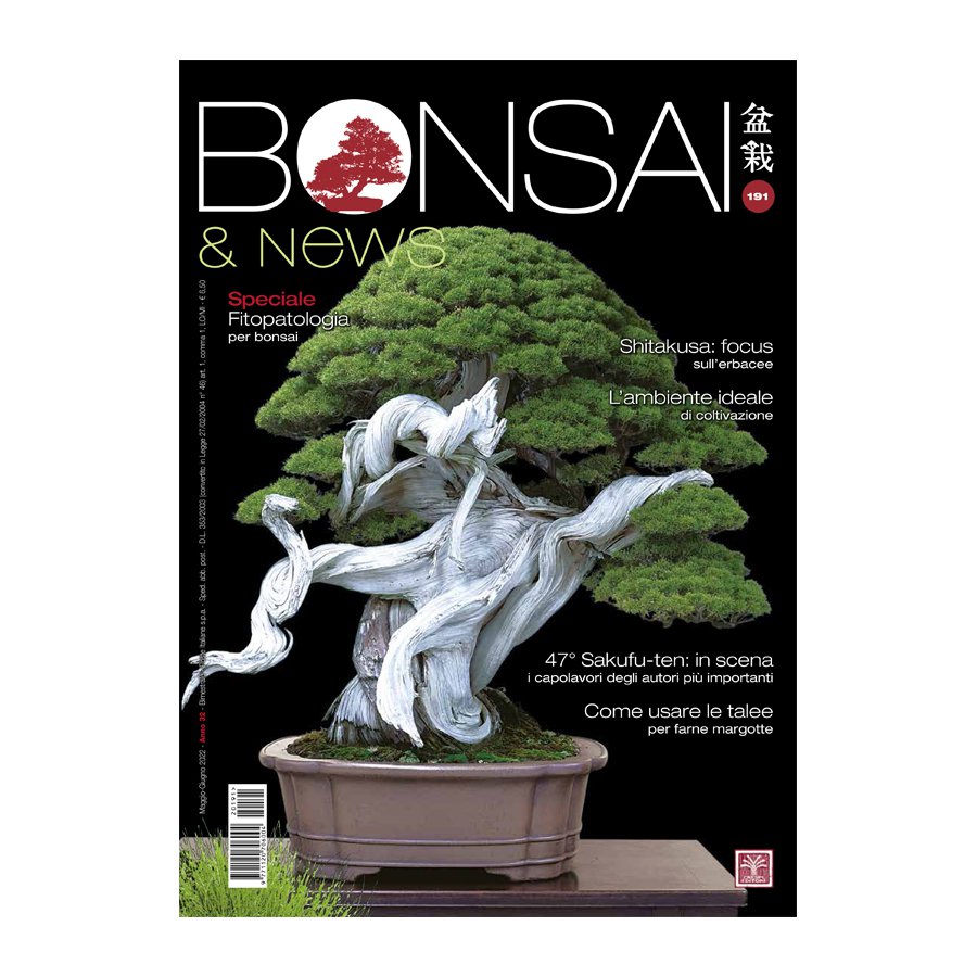 BONSAI & NEWS 191 -  MAG-GIU 2022