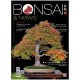 BONSAI & NEWS 193 -  SETT-OTT 2022