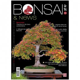 BONSAI & NEWS 193 -  SETT-OTT 2022