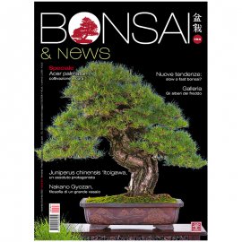 BONSAI & NEWS 194 -  NOV-DIC 2022
