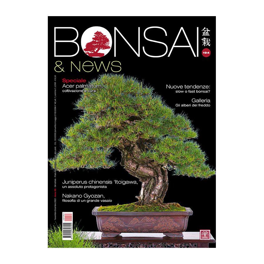 BONSAI & NEWS 194 -  NOV-DIC 2022
