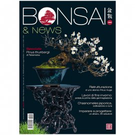 BONSAI & NEWS 195 -  GEN-FEB 2023