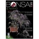 BONSAI & NEWS 196 - MAR-APR 2023