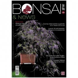 BONSAI & NEWS 196 - MAR-APR 2023