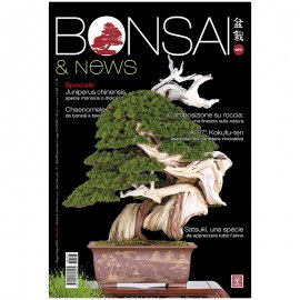 BONSAI & NEWS 197 - MAG-GIU 2023