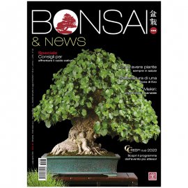 BONSAI & NEWS 198 - LUG-AGO 2023