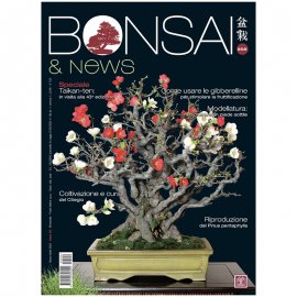 BONSAI & NEWS 202 - MAR-APR 2024