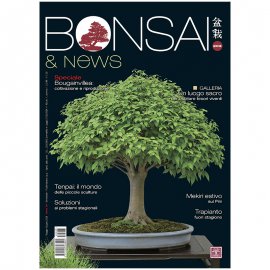 BONSAI & NEWS 203 - MAG-GIU 2024