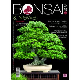 BONSAI & NEWS 216 - LUG-AGO 2026