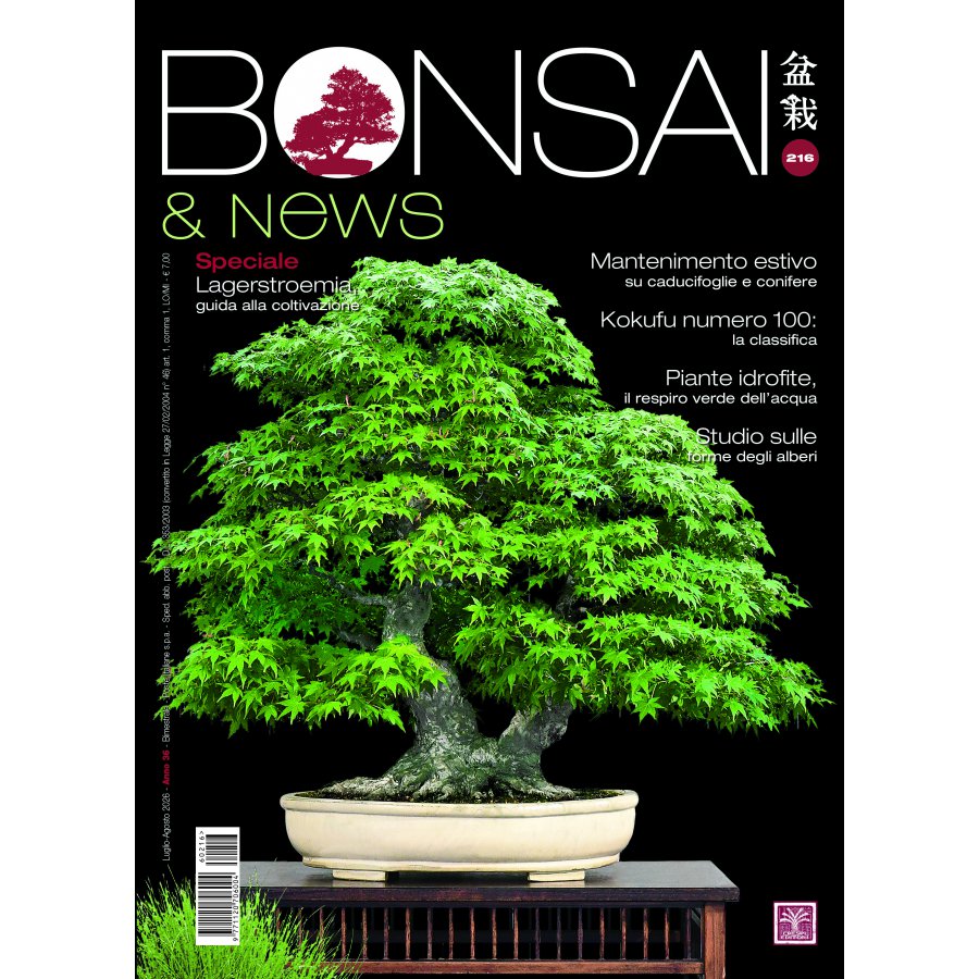 BONSAI & NEWS 216 - LUG-AGO 2026