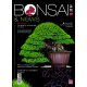 BONSAI & NEWS 217 - SETT-OTT 2026