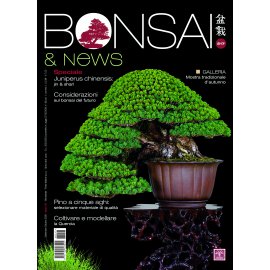BONSAI & NEWS 217 - SETT-OTT 2026