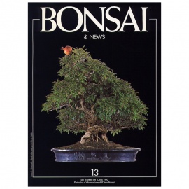 BONSAI & NEWS 13 - SET-OTT 1992